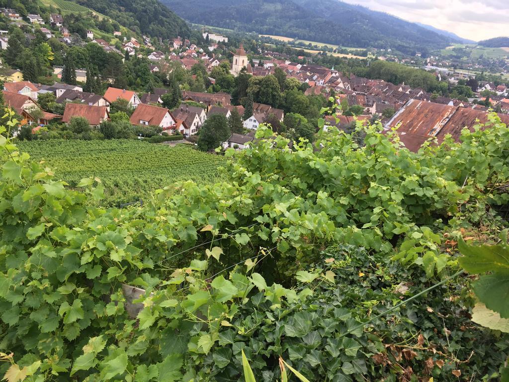 Gasthaus Zum Hirschen Staufen im Breisgau Buitenkant foto